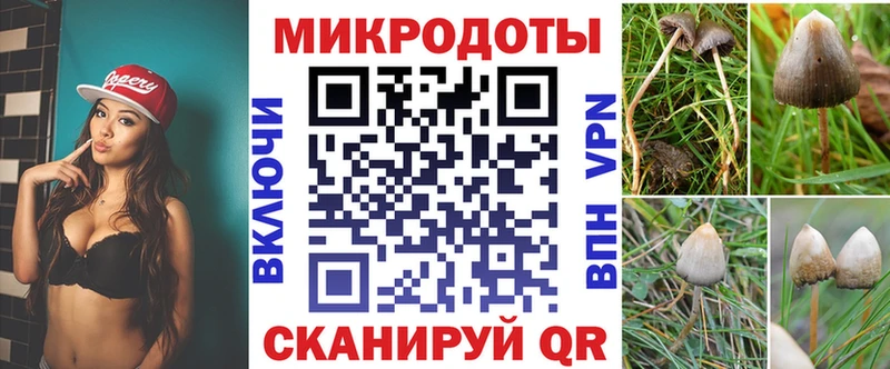 Галлюциногенные грибы Psilocybine cubensis  Галич 